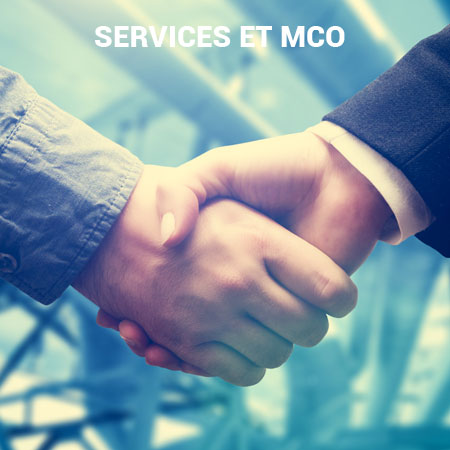 Services et mco arelis